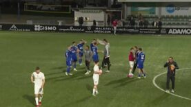 240414_Weißkirchen_Edelweiß