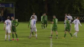 240421_Edelweiss_Wels