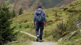 Fragen zur Jagd Störung