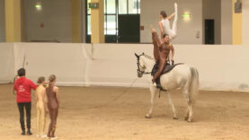 Heiße Eisen Lambach