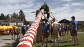 Maibaum aufstellen
