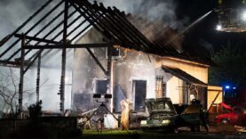 111 Feuerteufel Mühlviertel