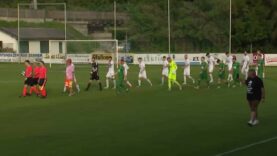 240512_Schallerbach_Edelweiß