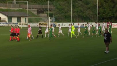 240512_Schallerbach_Edelweiß