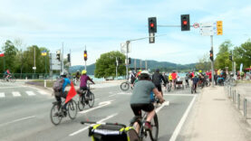 Autofreier Tag am Attersee