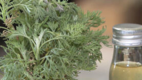 Produzentenmesse Genussland