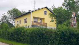 internationale mörder