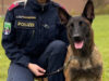 111 Polizeihund