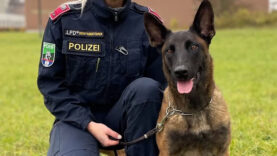 111 Polizeihund