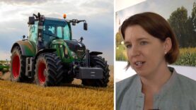 111 Renataurierung Bauern