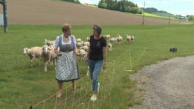 LWK Direktvermarktung