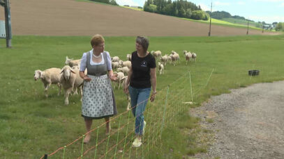 LWK Direktvermarktung