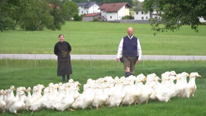 WKO Gastro Entenwirt