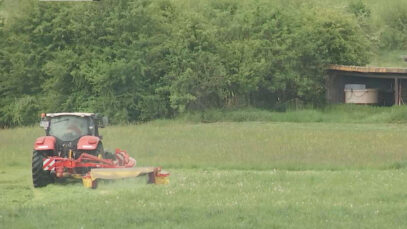 111 Landwirt Prozess Kitze