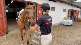 111 Lea Siegl Pferd Olympia