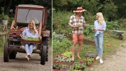 Garteln 3 Wintergemüse