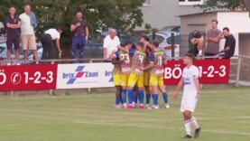 240825_Donau_Edelweiß