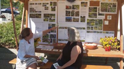 111 Wolfern Gemeinden