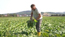 Hochwasser Landwirtschaft
