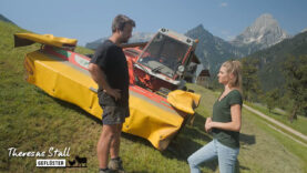 Stallgeflüster Mähen