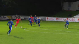 111 Edelweiss Dietach