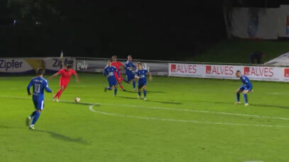 111 Edelweiss Dietach