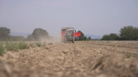 111 Ernteausfälle Trockenheit