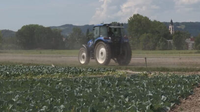 111 Renaturierung Experten