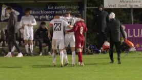 241013_Mondsee_Dietach