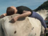 Horseyoga