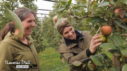 Stallgeflüster Obstbau