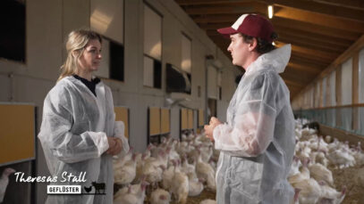 Stallgeflüster Pute