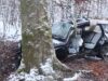 111 Baum Unfall
