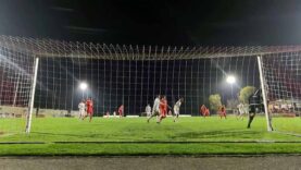 241103_Ostermiething_Edelweiß