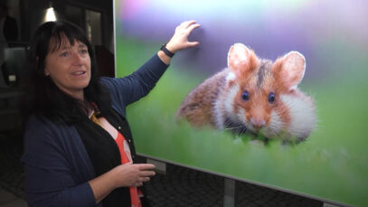 Hartlauer Fotogalerie