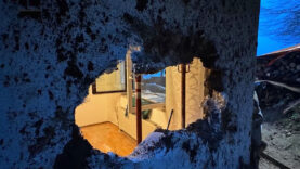 111 Baum Schlafzimmer