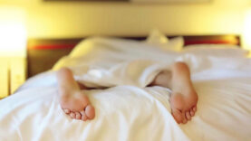 111 Nächtigungen Sommer