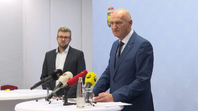 111 Syrer Schutzstatus