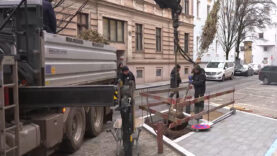 Schobesberger Bäume