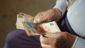 111 Budgetplan Details