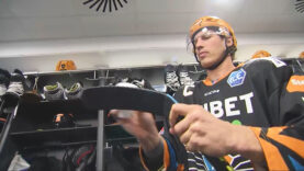 Black Wings Inside Brian