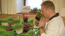 Genussland Microgreens