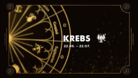 Krebs