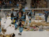 Teddy Bear Toss