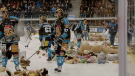 Teddy Bear Toss