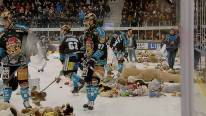 Teddy Bear Toss
