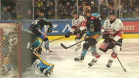 Black Wings Playoff – Kopie