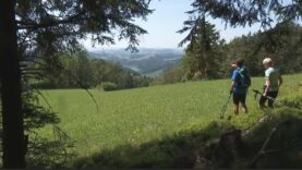 Mühlviertler Tourismus