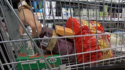 111 Lebensmittel teurer