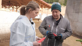 111 Stallgeflüster Staffelstart